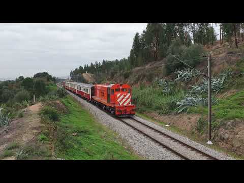 Comboio Especial n.º 13847 (PTG Tours) - Barquinha