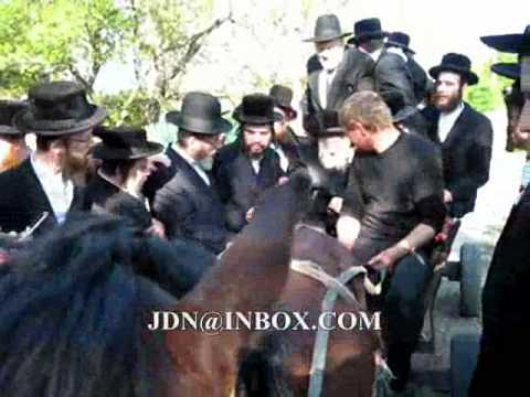 Skulener Rebbe in Skulen 5770