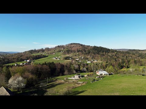 euroCapital Nieruchomości - Widokowa działka w Pewli Wielkiej