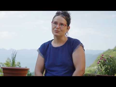 Plug Inn (Case Study) - Renault