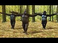 فديو مضحك : قرد يرقص على أغنية واي واي 2017 mp3