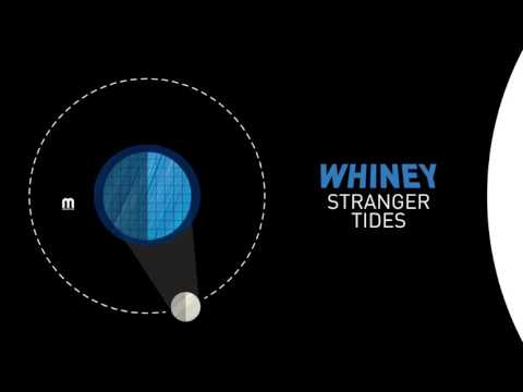 Whiney - Onyx