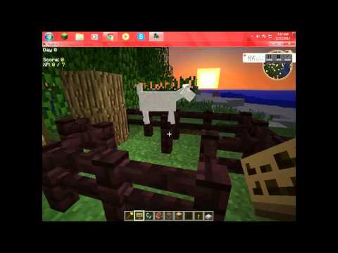 Yogbox travelers trunk[mo'creatures]