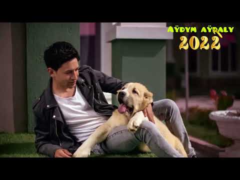 Bego - Uzaklara gitme 2022