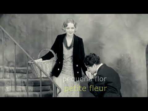 Petite Fleur   Lara Louise