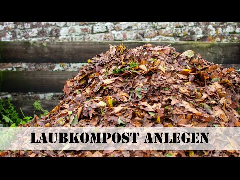 Laubkompost anlegen