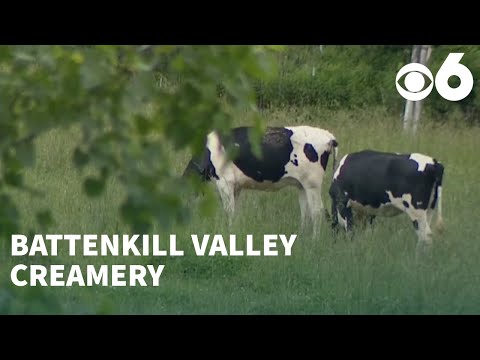 Battenkill Valley Creamery Llc
