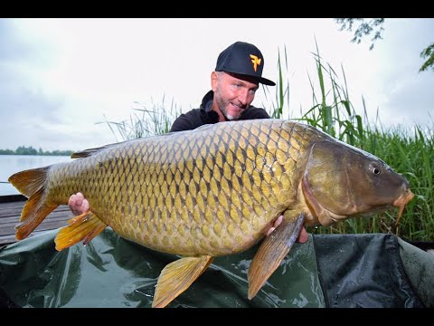 FEEDERMANIA - 20kg felett a hatvani Beton-tavon