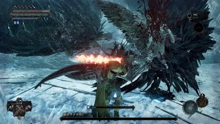 Lords of the Fallen(2023)#18「ホロウクロウ」攻略