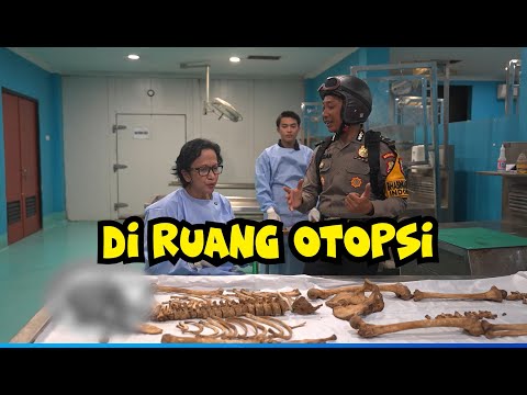 WHAT'S IN THE AUTOPSY ROOM?