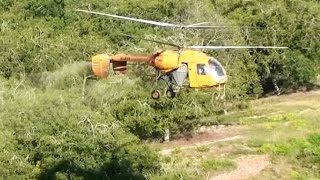 Kamov Ka-26 walnut spraying near Visz Hungary
