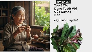 Top 6 Tác Dụng Tuyệt Vời Của Cây Xạ Đen | Thần Dược Hỗ Trợ Điều Trị Ung Thư, Mát Gan