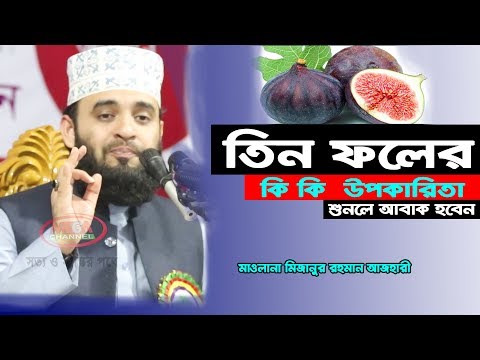 তিন ফলের কি কি উপকারিতা শুনলে আবাক হবেন I mizanur rahman azhari