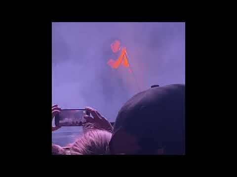 Nine Inch Nails SOMEWHAT DAMAGED Red Hat Amphitheater Raleigh, NC 4/28/22