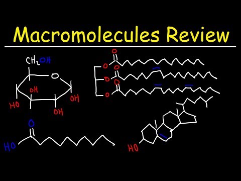 Macromolecules Review