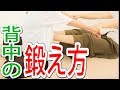 背中の筋トレ!『鍛えマッスル』