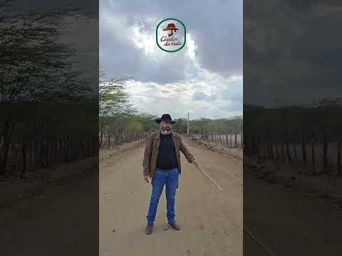 🌾 SÍTIO MORORO ÀS MARGENS DO RIO PARAÍBA – 165 HECTARES COM ÁGUA PERENE E POTENCIAL DE IRRIGAÇÃO 🌾