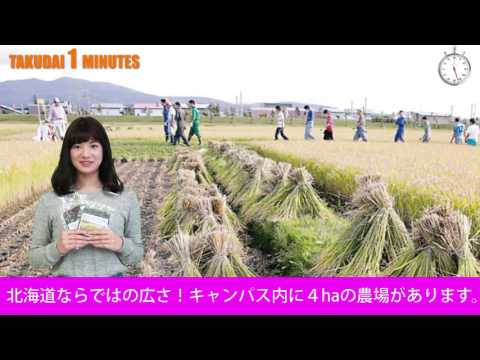 拓大One minutes 文博編
