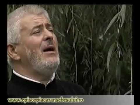 Pr. Marian Marcus - Sub o salcie pletoasă + Versuri. Cântări vechi