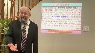 פרשת בהעלותך - התנהלות נכונה בזמן מלחמה בארץ ישראל - הרב ינון קלזאן (הרב ינון קלזאן) - התמונה מוצגת ישירות מתוך אתר האינטרנט יוטיוב. זכויות היוצרים בתמונה שייכות ליוצרה. קישור קרדיט למקור התוכן נמצא בתוך דף הסרטון