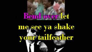 Karaoke  - Blues Brothers   Shake your tail feather