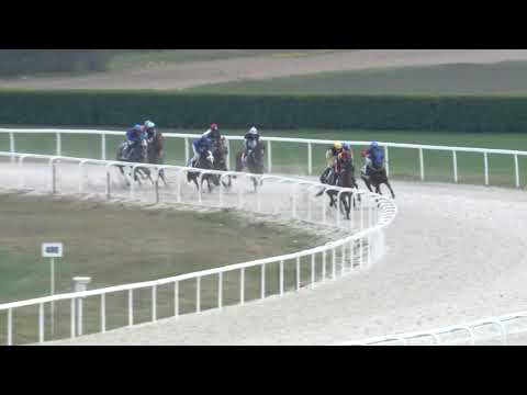 2019.04.14. 01. futam - NYERETLENEK VERSENYE (V.kat.)(szintetikus pálya)