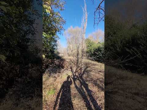 LOTE | 570 M2 | VISTA ABIERTA | ESCRITURA | ALAMBRADO | VILLA RUMIPAL