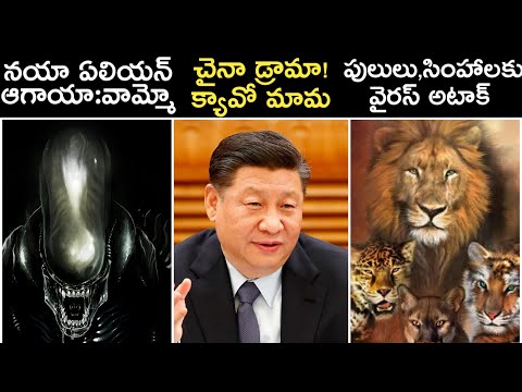 Latest Viral News in Telugu | ఈరోజు తెలుగు వార్తలు | 24th April 2020 6 PM
