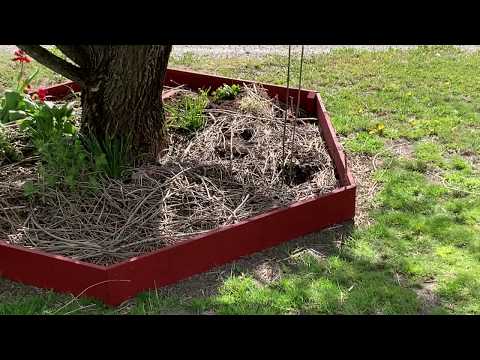 Permakulturdesign - Enkelt och Snabbt