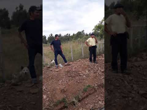 San Jose de las Cañas R42 . Uruguay visto x Gabriel Bianchini.