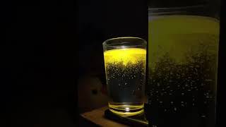 Download lagu ikutan trend dulu gaes bikin lampu kunyit katanya #shorts #trendtumeric #lampukunyit #trending mp3