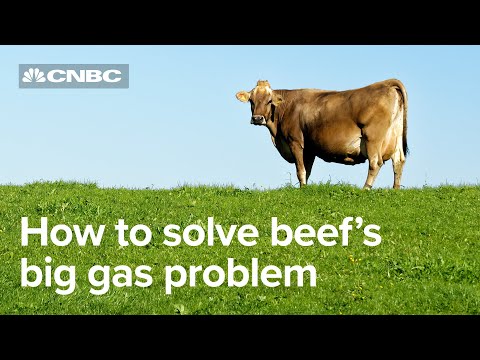 , title : 'How the home of Aberdeen Angus is hoping to solve meat's big emissions problem'