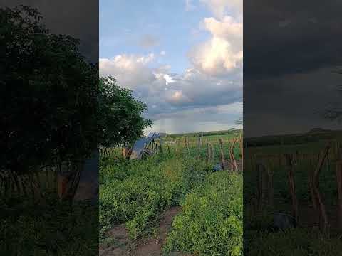 Chuva na região do Seridó do RN