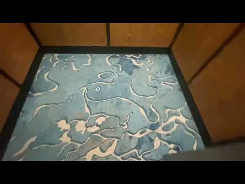 (Death Trap) The Famous Westinghouse Ballroom Elevator @ Hilton in Tampa, FL