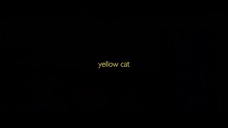 Trailer l BIFF2020 노랑 고양이 Yellow Cat l 아시아 영화의 창