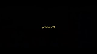#BIFF2020 A Window on Asian Cinema - Yellow Cat / 아시아 영화의 창 - 노랑 고양이