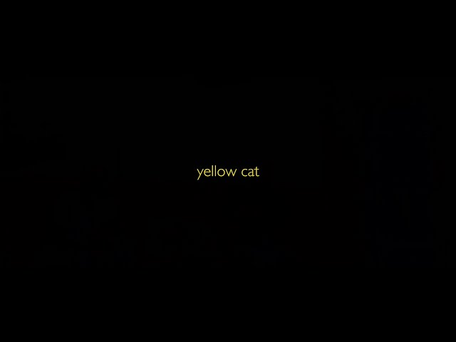 #BIFF2020 A Window on Asian Cinema - Yellow Cat / 아시아 영화의 창 - 노랑 고양이