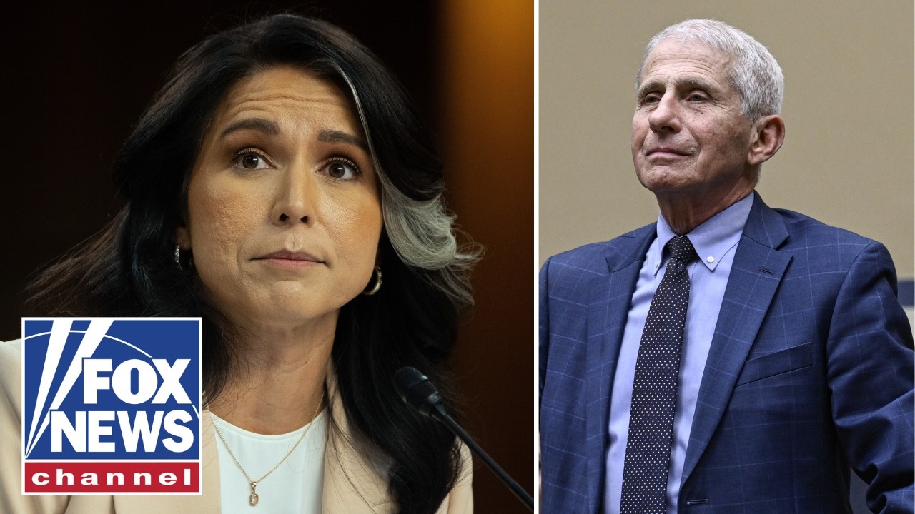 COVER UP?: Dr Fauci 'abused power to the HIGHEST LEVEL,' Gabbard alleges