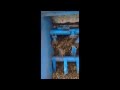 Compost Manure Spreader KWH Holland