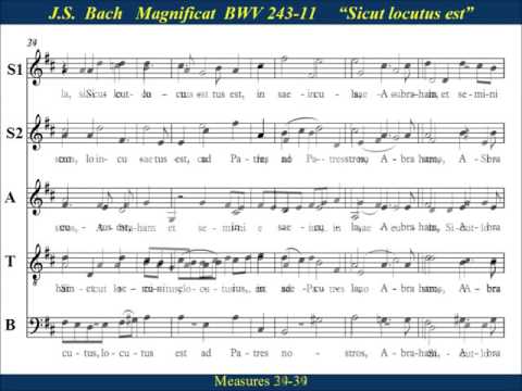 11 - JS Bach Magnificat - Sicut Locutus - Tenor