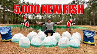 STOCKING My BACKYARD POND w/ 5,000+ New Fish!! (Feeding FRENZY)