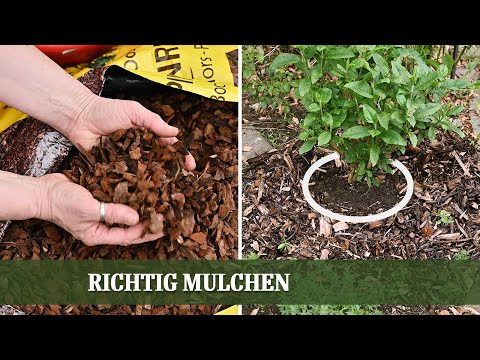Mulchen - aber richtig!  Vor- und Nachteile verschiedener Mulch Materialien  im Überblick
