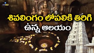 Temple video