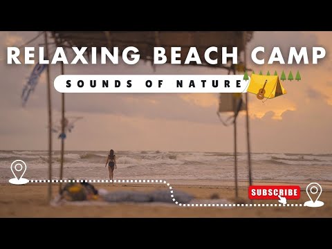 ASMR Relaxation By A Remote Beach | Sounds of Nature | Talkin Travel