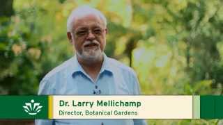 preview picture of video 'UNC Charlotte's Botanical Gardens'