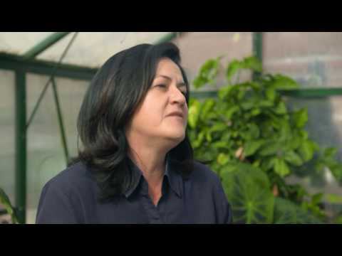 Aquaponics – Best Species To Grow In Perth Aquaponics - Best Species To Grow In Perth