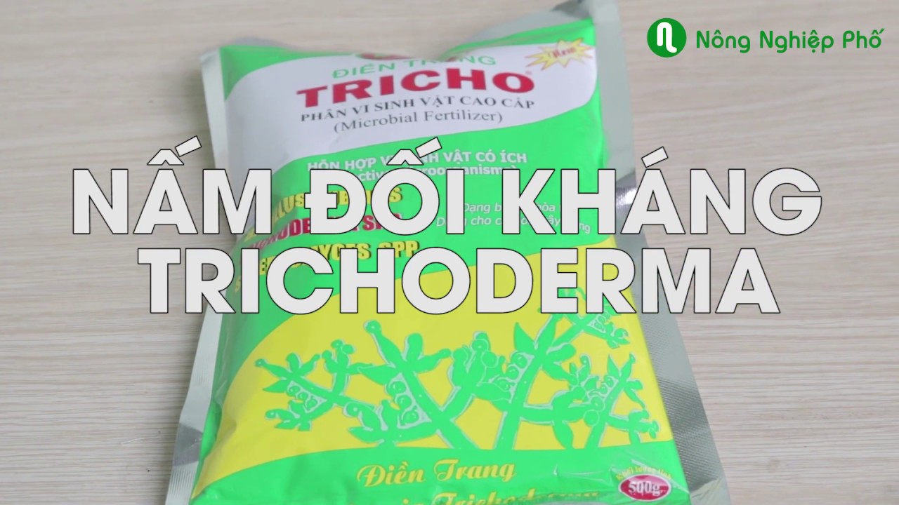 Nấm đối kháng Trichoderma  Điền Trang - Gói 500gr