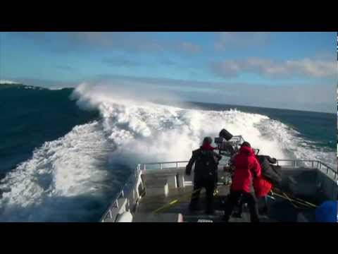 PROFILES - DIRECTORS | Storm Surfers 3D