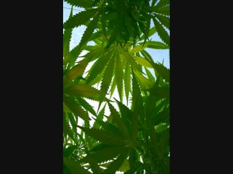 Junior Sprea - Non C'è Più Distinzione