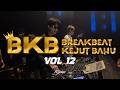 BREAKBEAT BKB VOL 12 LIVE SET FLYONE TEMPLE CLUB KPS 2026